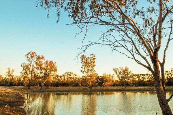 Carinya Station House Dam Camp